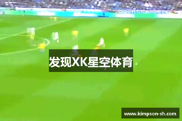 发现XK星空体育